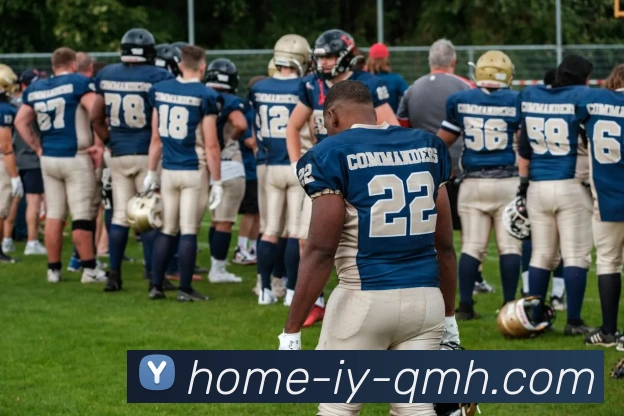 球盟会服务体系