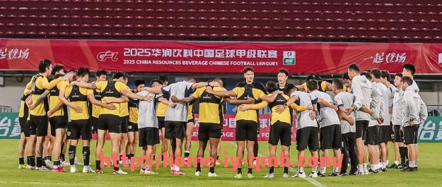 球盟会官网-fm英超小球队：在《足球经理》游戏中表现突出的英超小球队